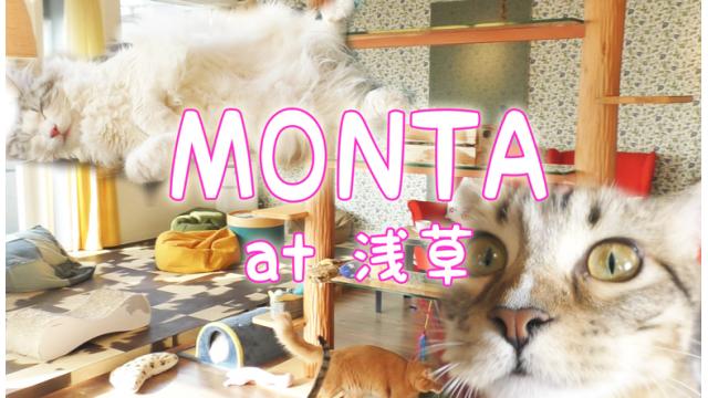 『MONTA』店舗情報