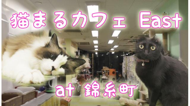『猫まるカフェ East』店舗情報
