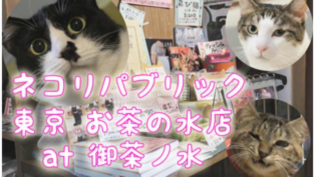 『ネコリパブリック 東京 お茶の水店』店舗情報