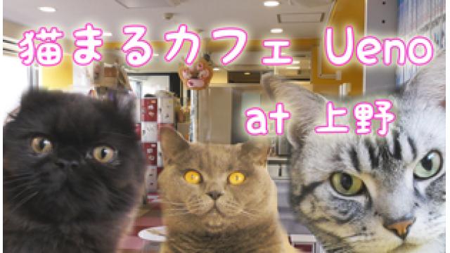 『猫まるカフェ Ueno』店舗情報