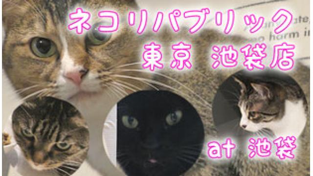 『ネコリパブリック 東京 池袋店』店舗情報