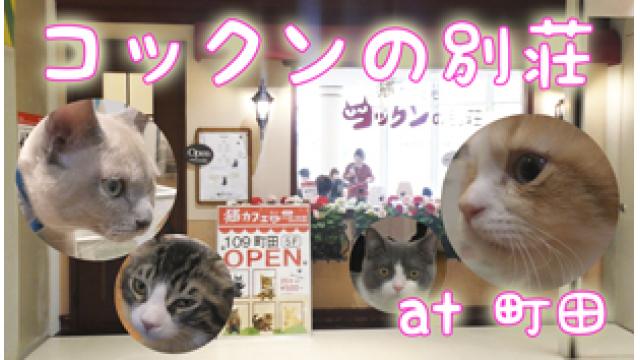 『コックンの別荘』店舗情報