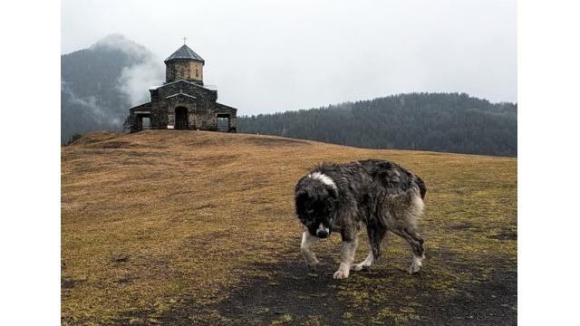 『ゲンロンβ56』新プロパガンダ論　辻田真佐憲＋西田亮介ほか