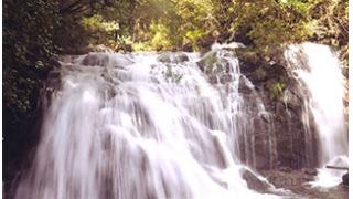 【九鬼町】奥地（おこち）の滝　名水「桜水」