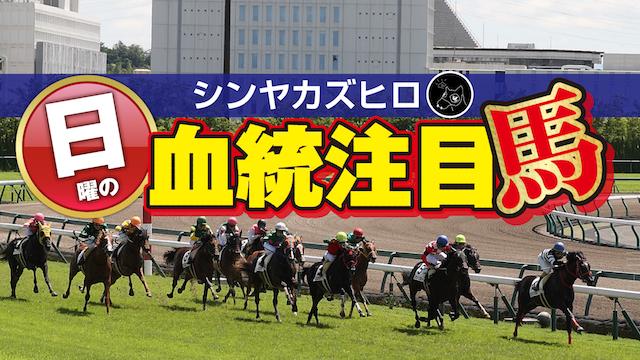 【2023/7/29】シンヤカズヒロ　日曜の血統注目馬