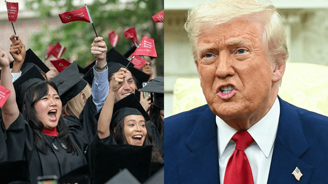 《ボストン緊急取材》ハーバード大生50人に訊いたトランプへの怒り 「SNS投稿すら危険」「人生設計を変更」「実験室が閉鎖へ」