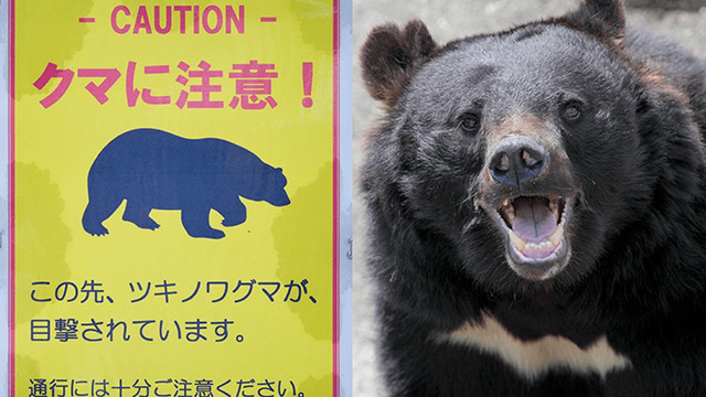 人喰い熊「恐怖の生態」《重症回避100％の「ある行動」、冬眠失敗で被害長期化も「ペットも食糧と認識」》