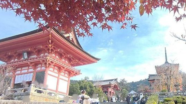 【京都・大阪現地ルポ】「8割キャンセル」中国人観光客が消えて得する人、損する人《日中“新冷戦”に備えよ》