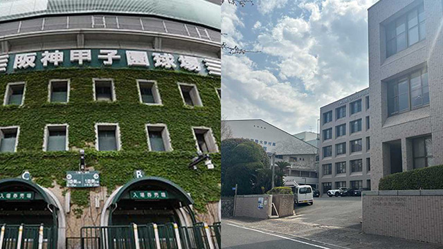 《センバツ16強》九州国際大付属高校の“野球部内暴力”に警察が動いた！「顔面をスパイクで蹴られた、部内での“苛烈いじめ”」