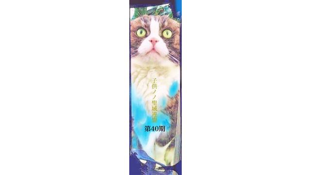 子供ノノ聖域連盟 第40期