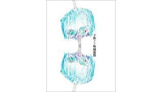 子供ノノ聖域連盟　第13期