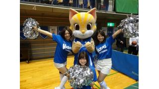 2014年2月22日、23日　羽田ヴィッキーズ応援☆