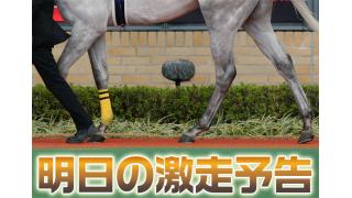 明日の激走予告　～前走好内容の激走馬！～