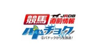 枠順！『 第 75 回 菊 花 賞 』確定しましたッ！