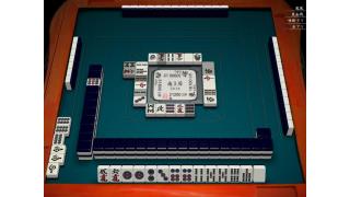 １月２９日と１月３０日の十段坂　後半