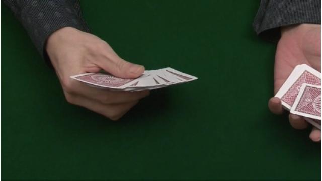 111 クロコダイル テクニック