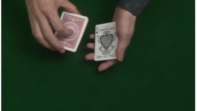 157 ワイルド ドリーム