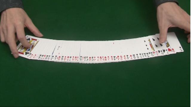 208 ジョグによるコレクト