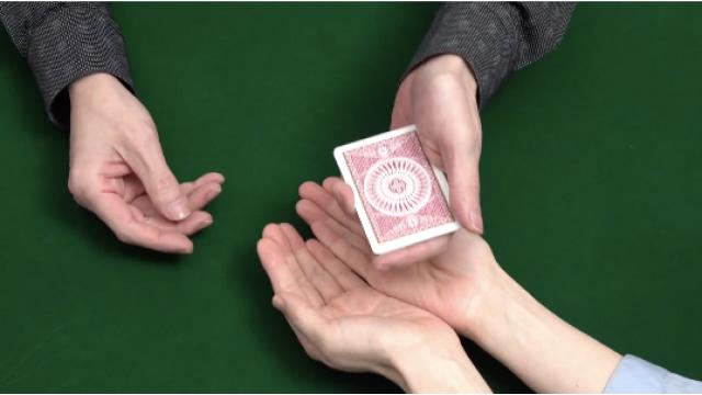 229 ディスカバリエ