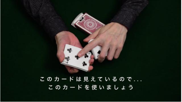 255 キャットフォース