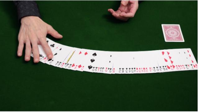 258 ストップフォースの大切なポイント