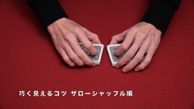 365　巧く見えるコツ　ザローシャッフル編
