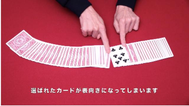 381　ステル スリバース（簡易版）