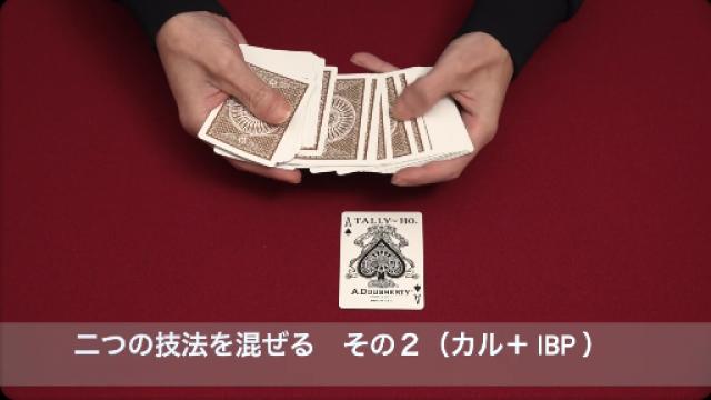 445　二つのテクニックを混ぜる　その２（カル＋IBP）