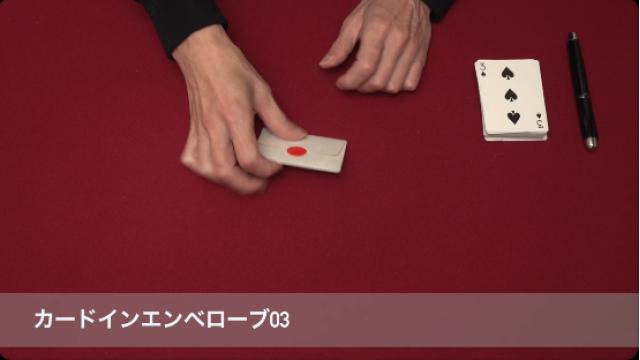 509 カードインエンべローブ03