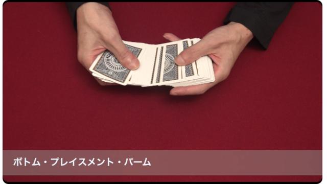 532 ボトム・プレイスメント・パーム