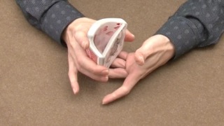 037 ファローシャフル