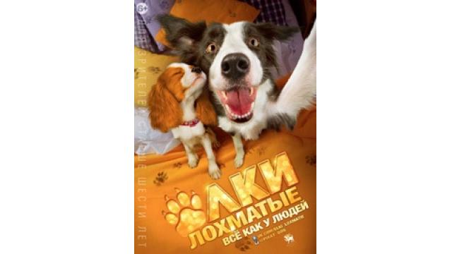 現代ロシア映画鑑賞会　2月12日開催! 「ロック＆ロール たった2匹の強盗撃退最強ミッション！」