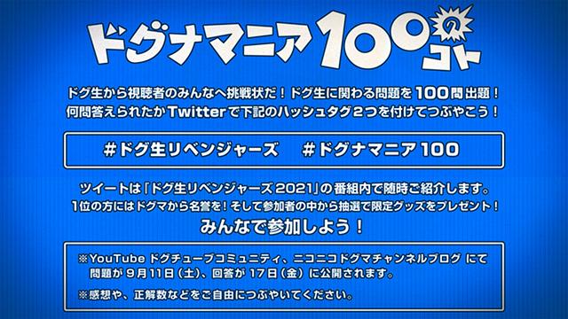 ドグナマニア100のコト