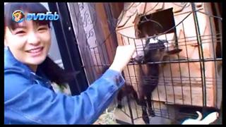 『星名美津紀のどうぶつずかん。』 第14回 オシャレなヤギカフェへGO♪