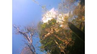 The Seafares　海の旅人たち　Vol.5　　　奇跡の泉　セノーテ