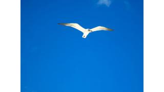 The Seafares　海の旅人たち　Vol.7　　　プラヤ・デル・カルメンの空　第２章