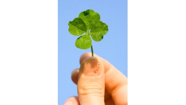 両親の離婚に賛成、反対どうしたらいい？！