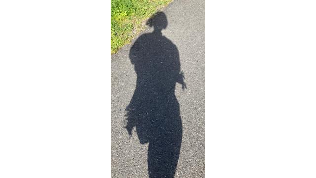オープンな場での野生のコラッタやポッポが飛び出してくる可能性