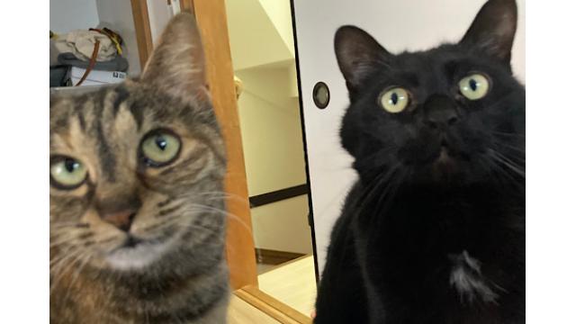 深いのか地下なのか真空なのか