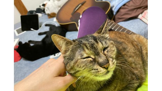 相対的を破壊して