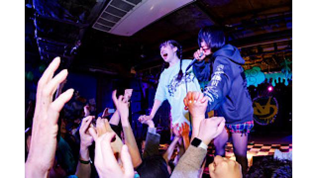 メジロのこころ