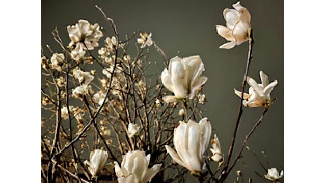 やさしさとぬるさ