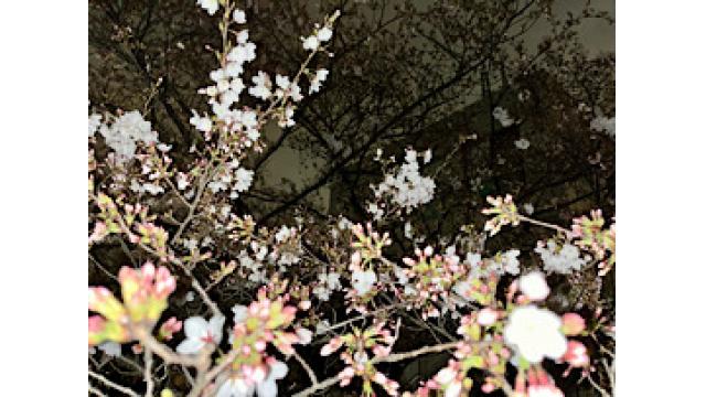 からだに悪いもの心にいいもの