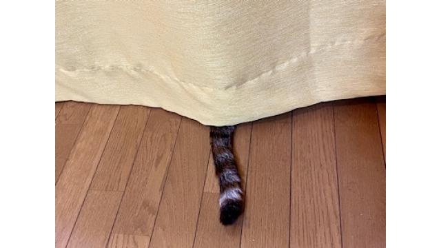 夏休み日記2024（その２）