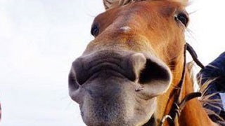 アッカンベー＾＾