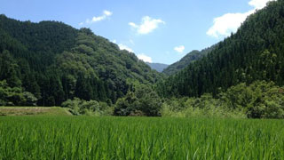 深山の「やまめの里」で釣りたての川魚を楽しむ！