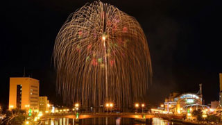 どんどん、パクパク、大漁です！