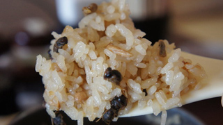 【閲覧注意】めしませ！採れたてのおいしいヘボだよ