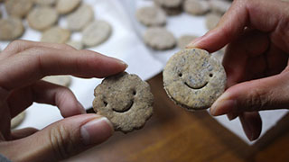 みんな大好き、コオロギクッキーが焼けたよ！