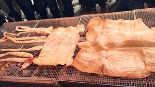 300人限定！ダイオウイカのスルメ食べてみた！その1